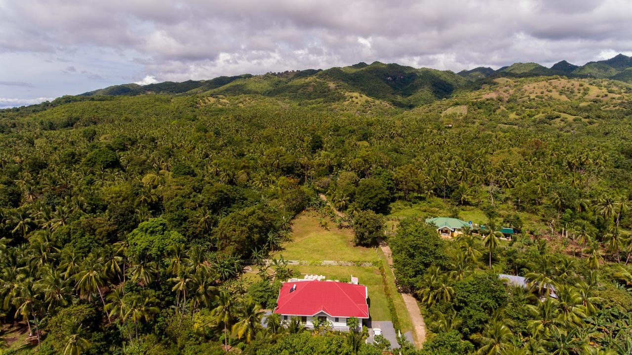 Bohol White House Bed & Breakfast Lila Extérieur photo